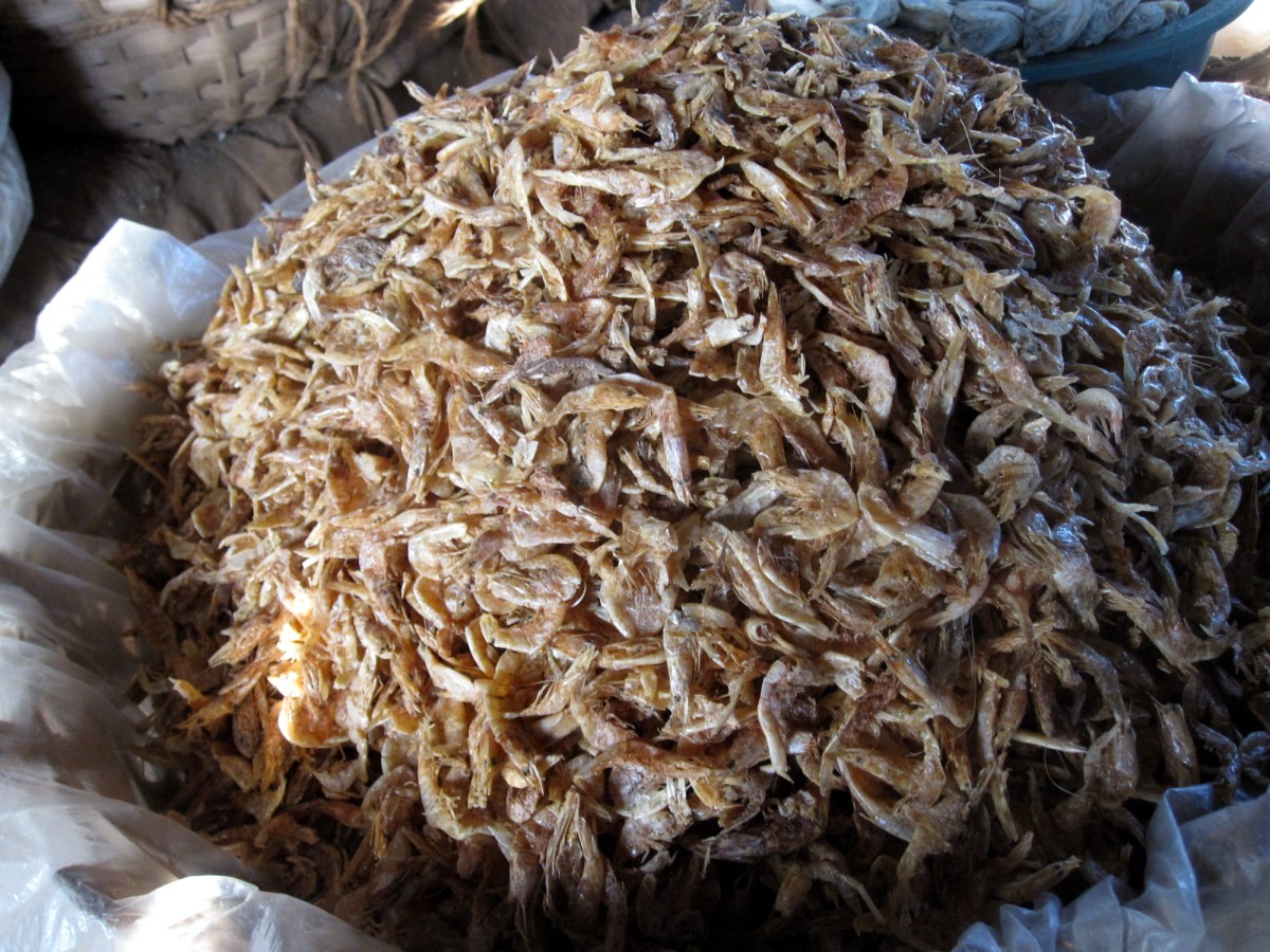 Mangalore Mangalore Mangalore Dry Fish Market